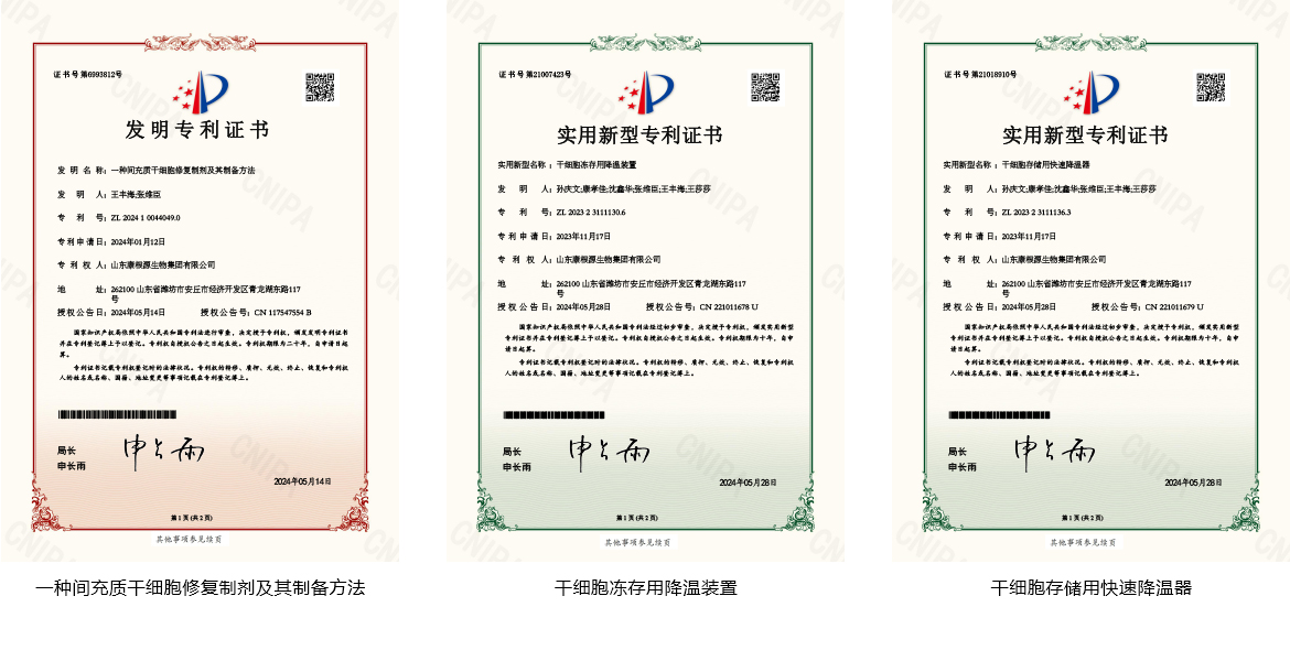 发明专利