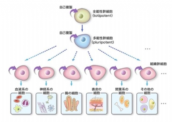 微信图片_20241003160705